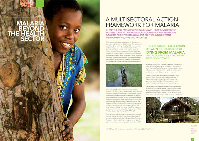 Roll Back Malaria - Annual report